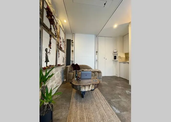 Tiny Gallery Gare Montparnasse Apartment Paris